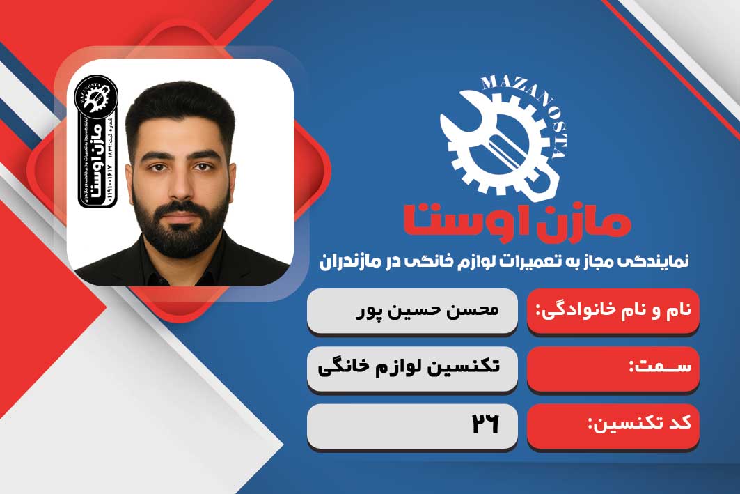 محسن حسین پور