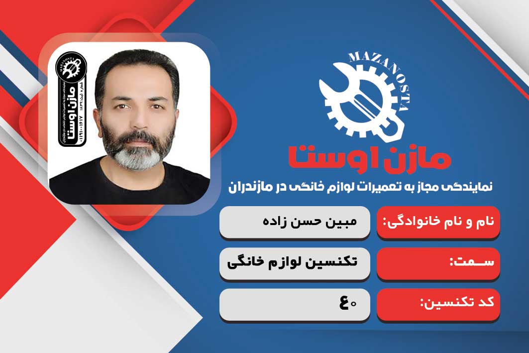 مبین حسن زاده